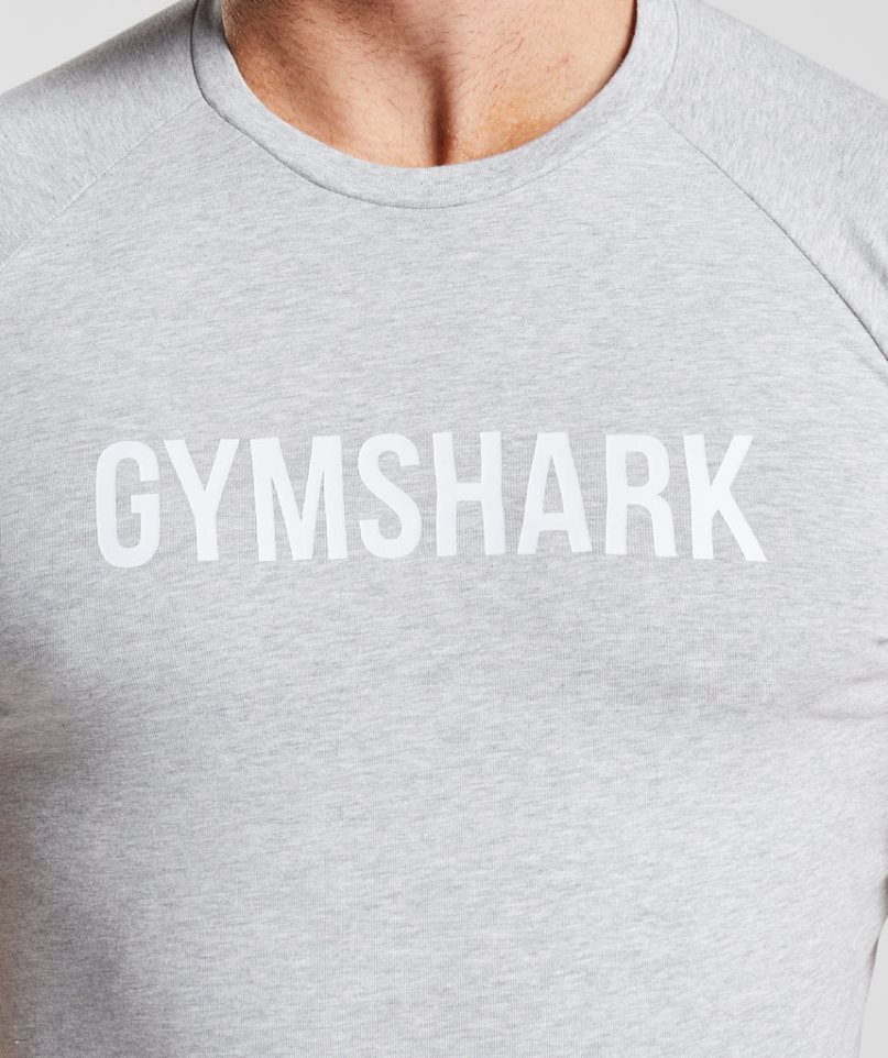 Men's Gymshark Apollo T-Shirts Light Grey | NZ 8TIWLH